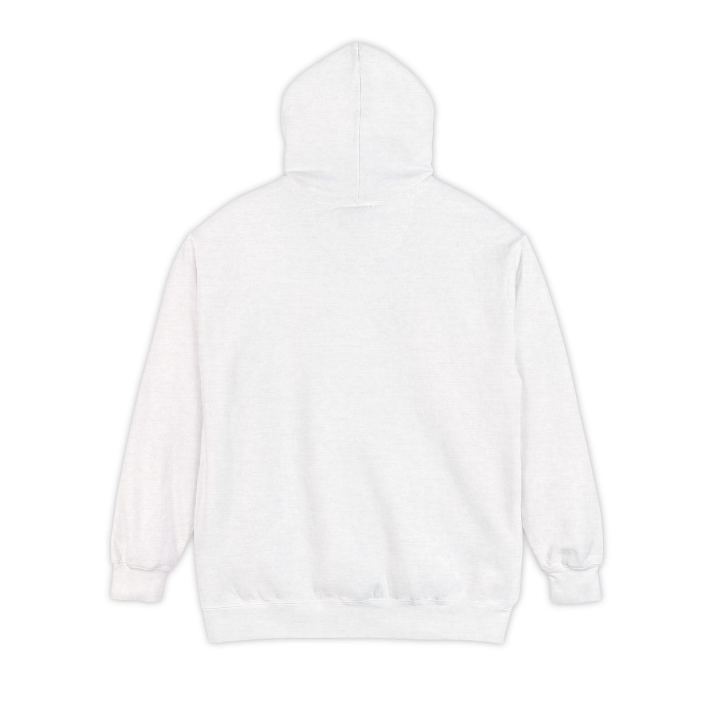 Lost Signal Garment-Dyed Unisex Hoodie, Casual Wear, Street Style, Holiday Gift, Trendy Apparel