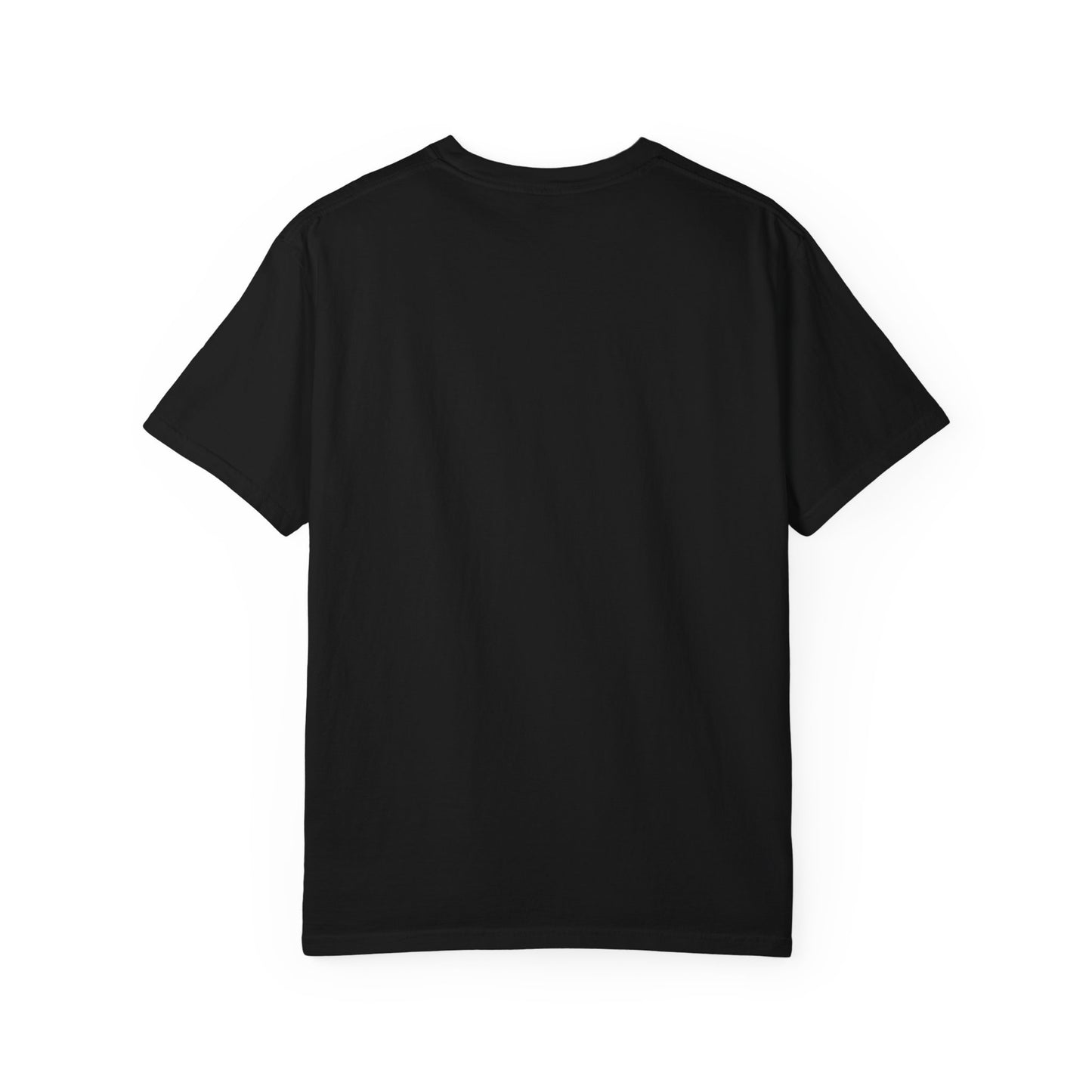 Unisex Garment-Dyed T-Shirt with Lost Signal Media Print | Comfy Casual Tee for Everyday Wear, Gifts, Festivals, Relaxed Style