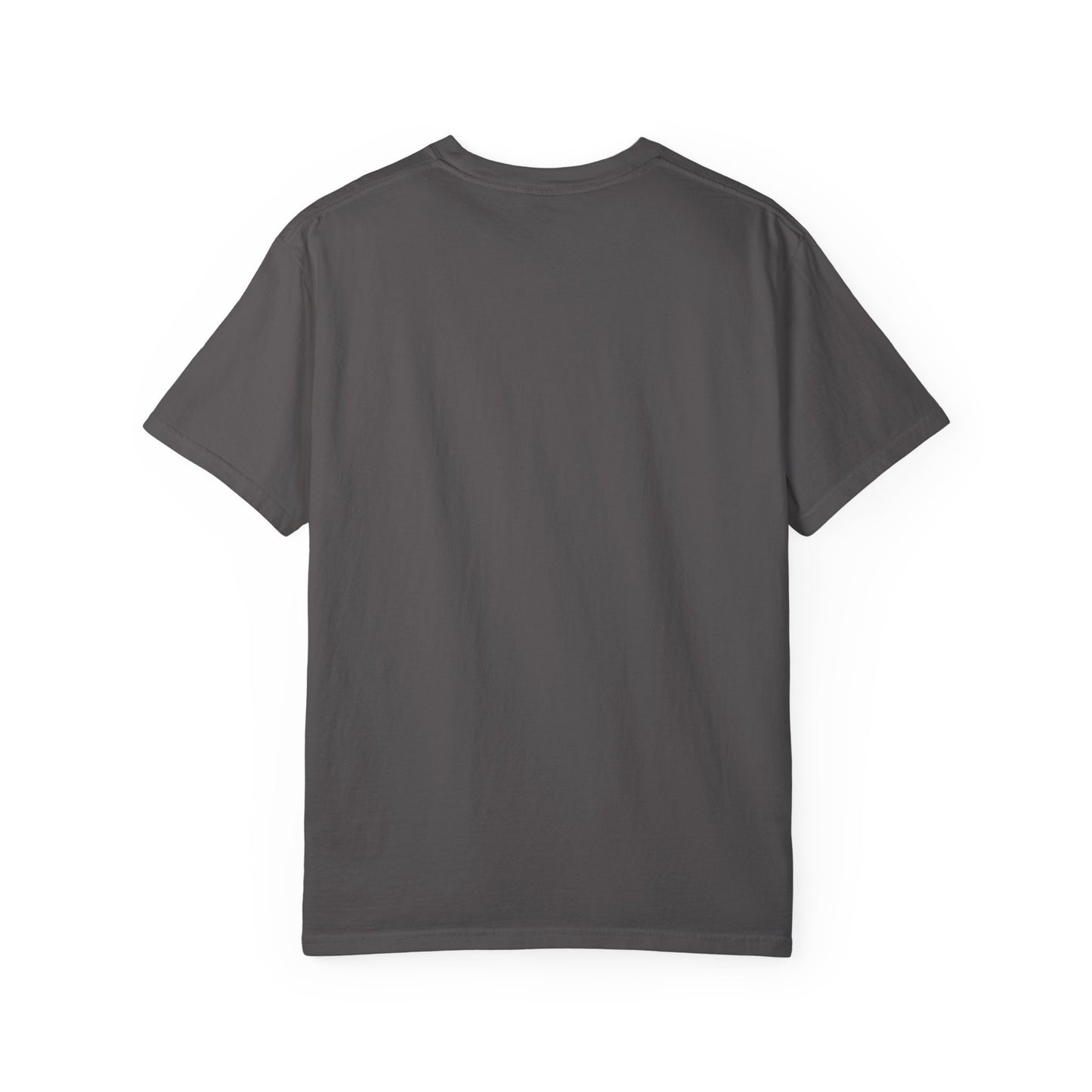Unisex Garment-Dyed T-Shirt with Lost Signal Media Print | Comfy Casual Tee for Everyday Wear, Gifts, Festivals, Relaxed Style