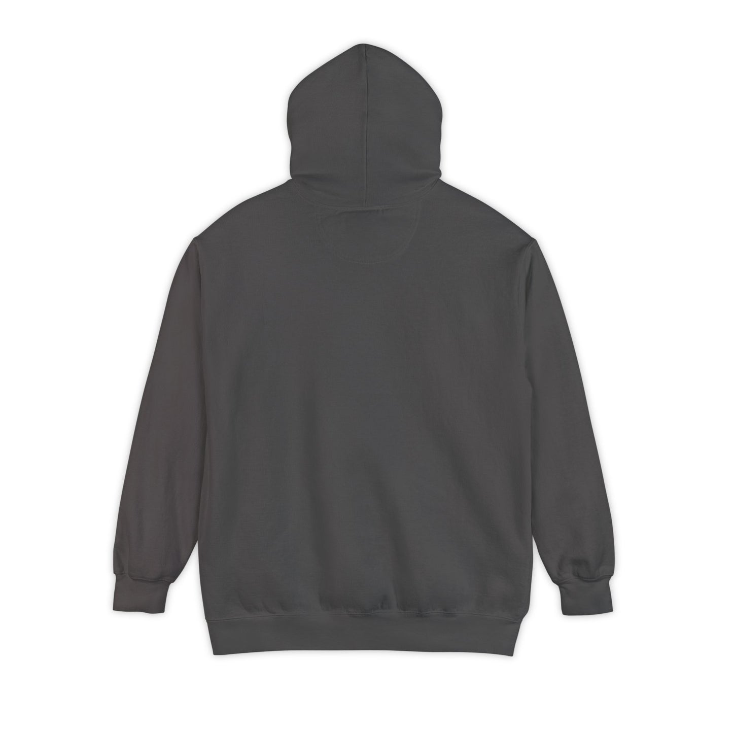 Lost Signal Garment-Dyed Unisex Hoodie, Casual Wear, Street Style, Holiday Gift, Trendy Apparel