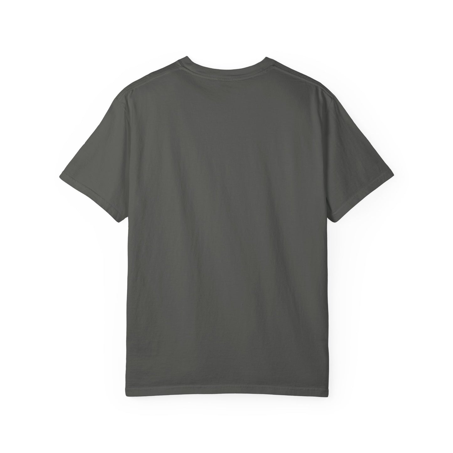 Unisex Garment-Dyed T-Shirt with Lost Signal Media Print | Comfy Casual Tee for Everyday Wear, Gifts, Festivals, Relaxed Style